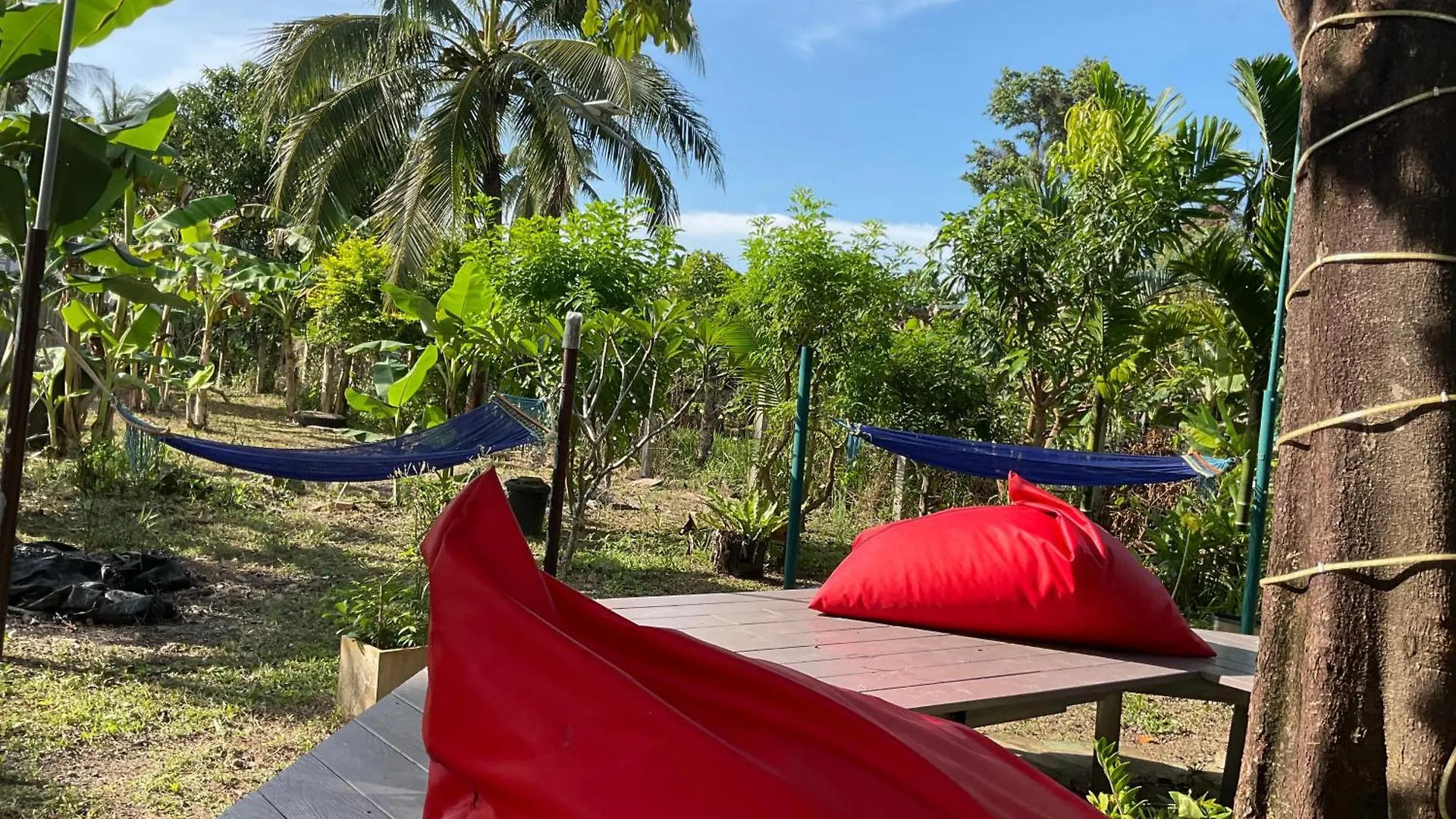 Wake Up @Lanta Hotel : Cafe Ko Lanta 0*,  泰国
