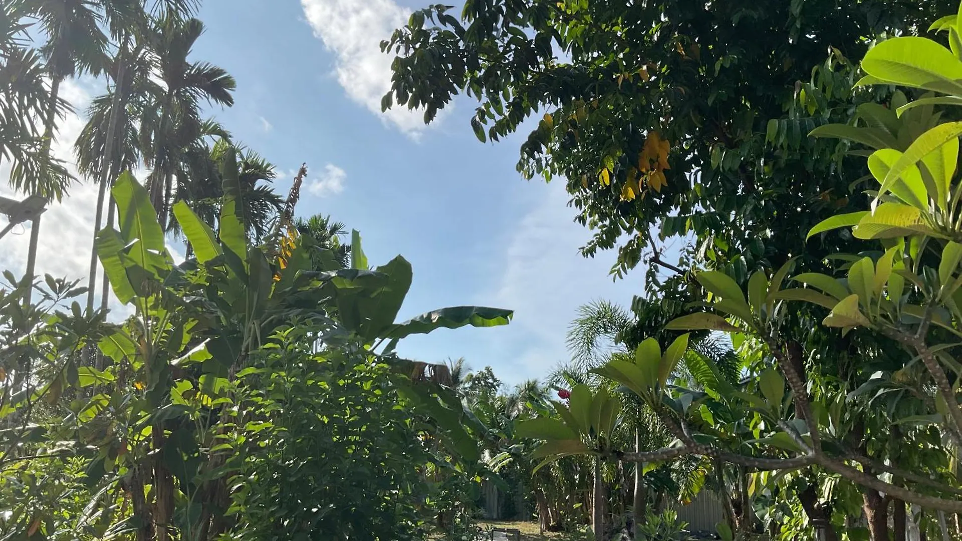 Wake Up @Lanta Hotel : Cafe Ko Lanta 旅馆
