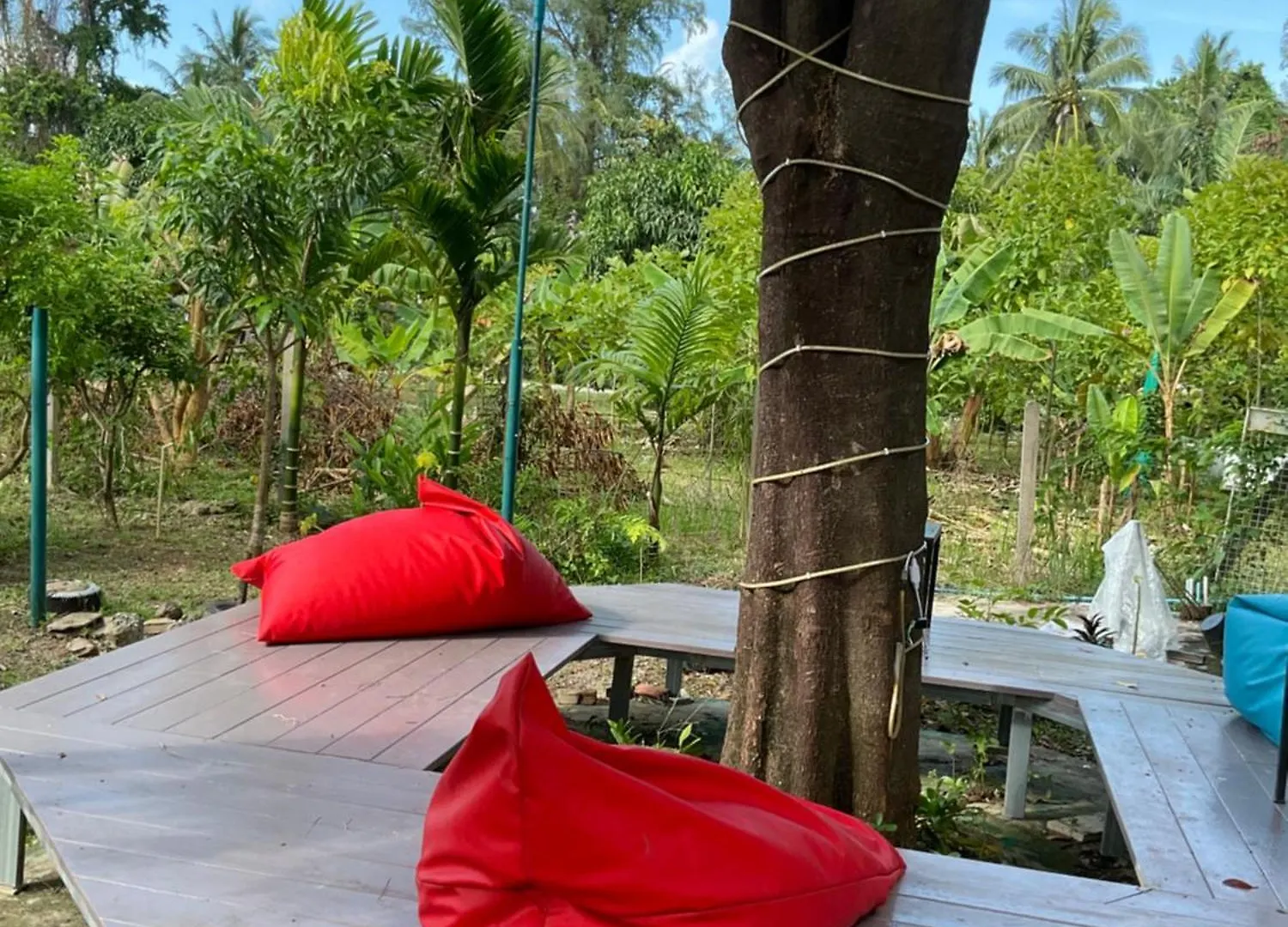 旅馆 Wake Up @Lanta Hotel : Cafe Ko Lanta